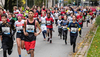 Main lauf cup de Main Lauf Cup Main lauf cup de Main Lauf Cup